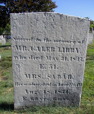 Weathered marble grave marker with a slight point at the top of its rectangular shape. Carved with the inscription for the Libbys and set among a grassy area with trees in the background