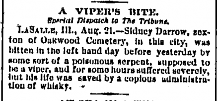 detail from an old newspaper: A Viper's Bite